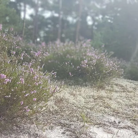 Blue Marine 19 Z Tarasem I Widokiem Na Morze Przy Plazy Apartment *