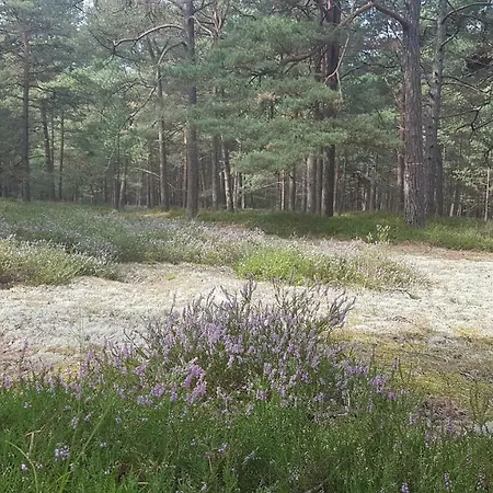 Blue Marine 19 Z Tarasem I Widokiem Na Morze Przy Plazy *