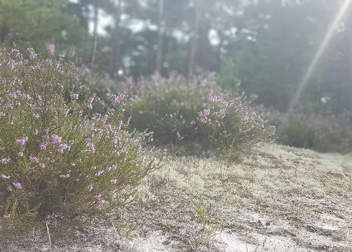 Blue Marine 19 Z Tarasem I Widokiem Na Morze Przy Plazy Lägenhet *