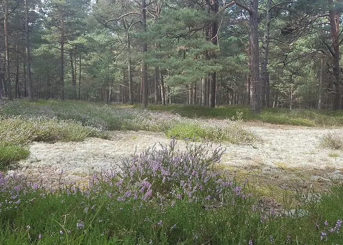 Blue Marine 19 Z Tarasem I Widokiem Na Morze Przy Plazy *