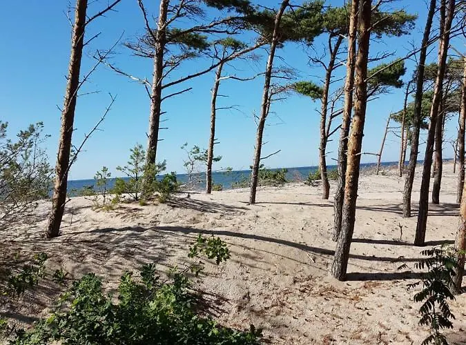 Blue Marine 19 Z Tarasem I Widokiem Na Morze Przy Plazy * Rowy (Pomerania)