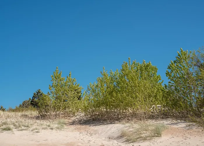 Blue Marine 19 Z Tarasem I Widokiem Na Morze Przy Plazy *